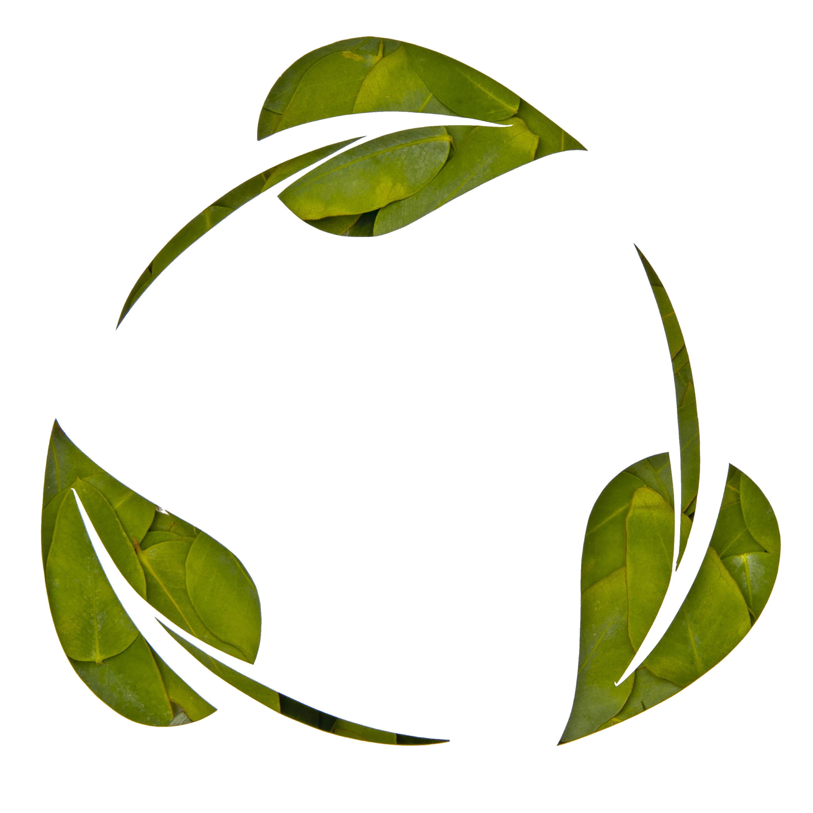 Société Écologique